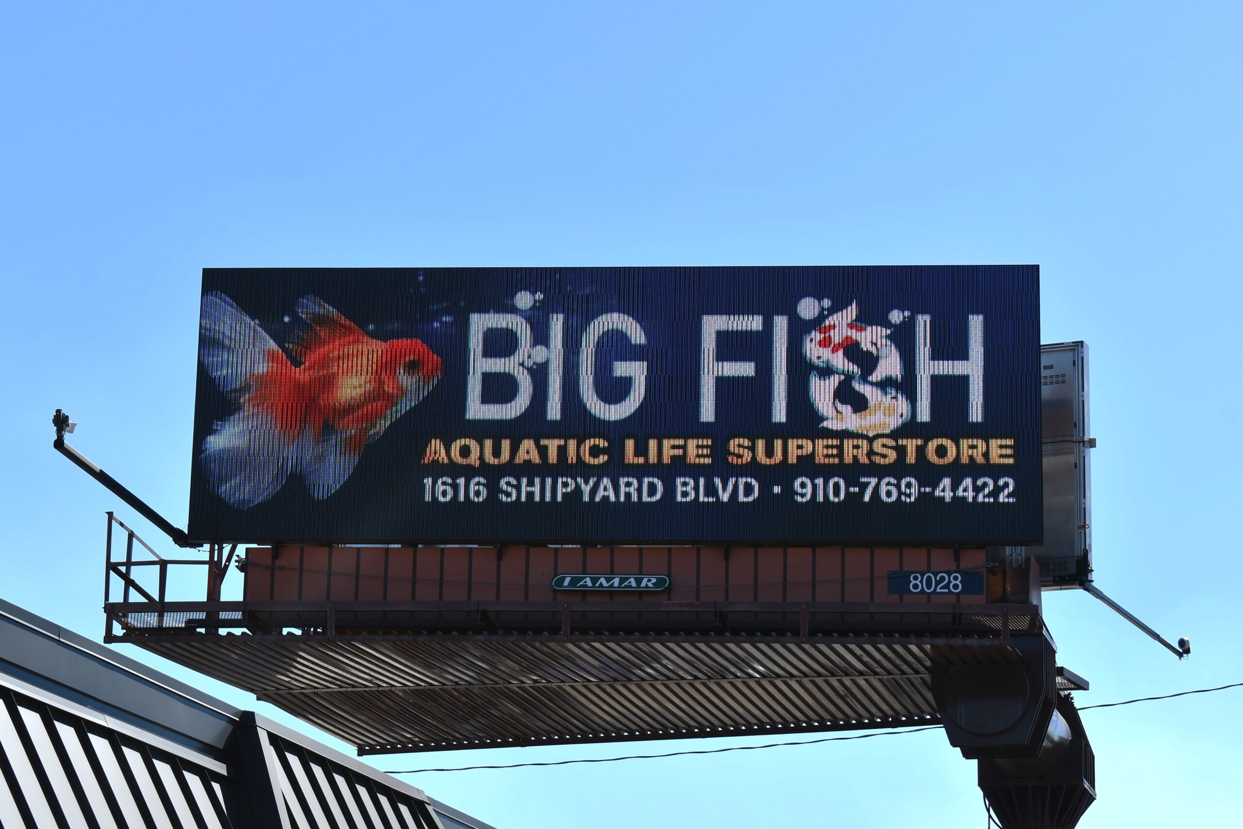Case Study Out of Home Aquatic Life Superstore