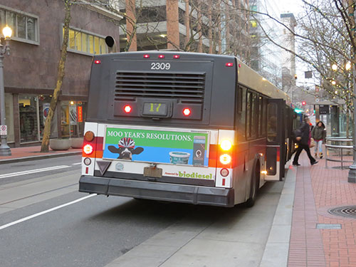 Bus Tail Ads 1
