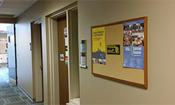 College and University Advertising