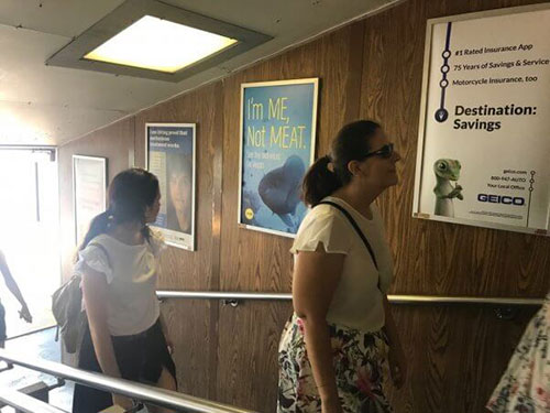 Ferry Advertising