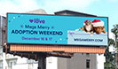 Petco Love Advertising Digital Out of Home (DOOH)