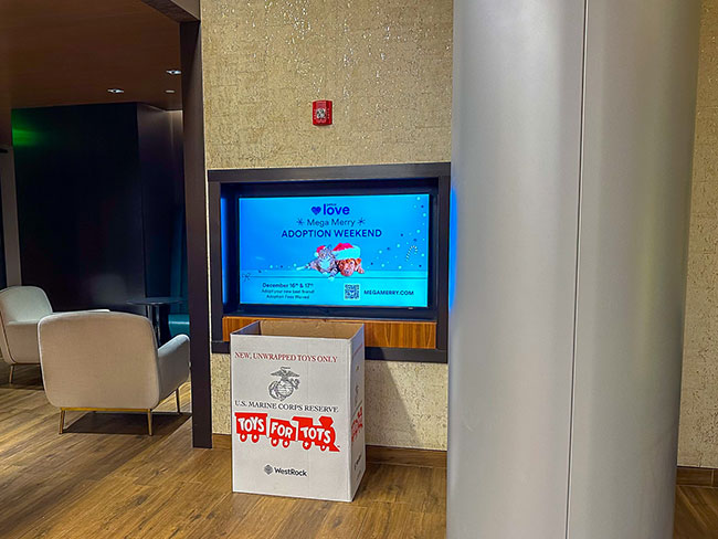 Petco Love Digital Out of Home (DOOH) Advertising 15
