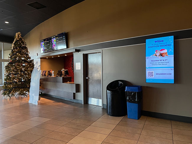 Petco Love Digital Out of Home (DOOH) Advertising 5