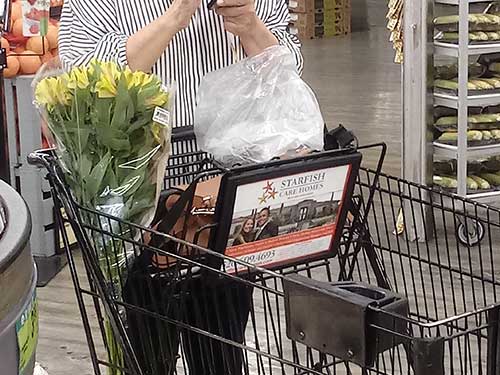 Shopping Cart Child/Baby Seat Advertising 1