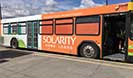 Solarity ads