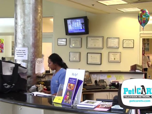 Veterinarian Office Advertising