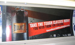 Bus Interior Advertising