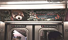 Wildlife Ads