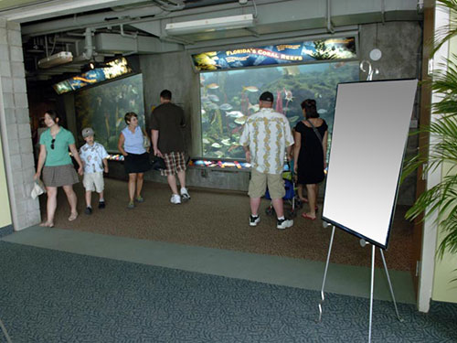 Zoo and Acquarium Advertising